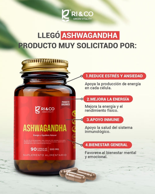 Ashwagandha 90 Cápsulas