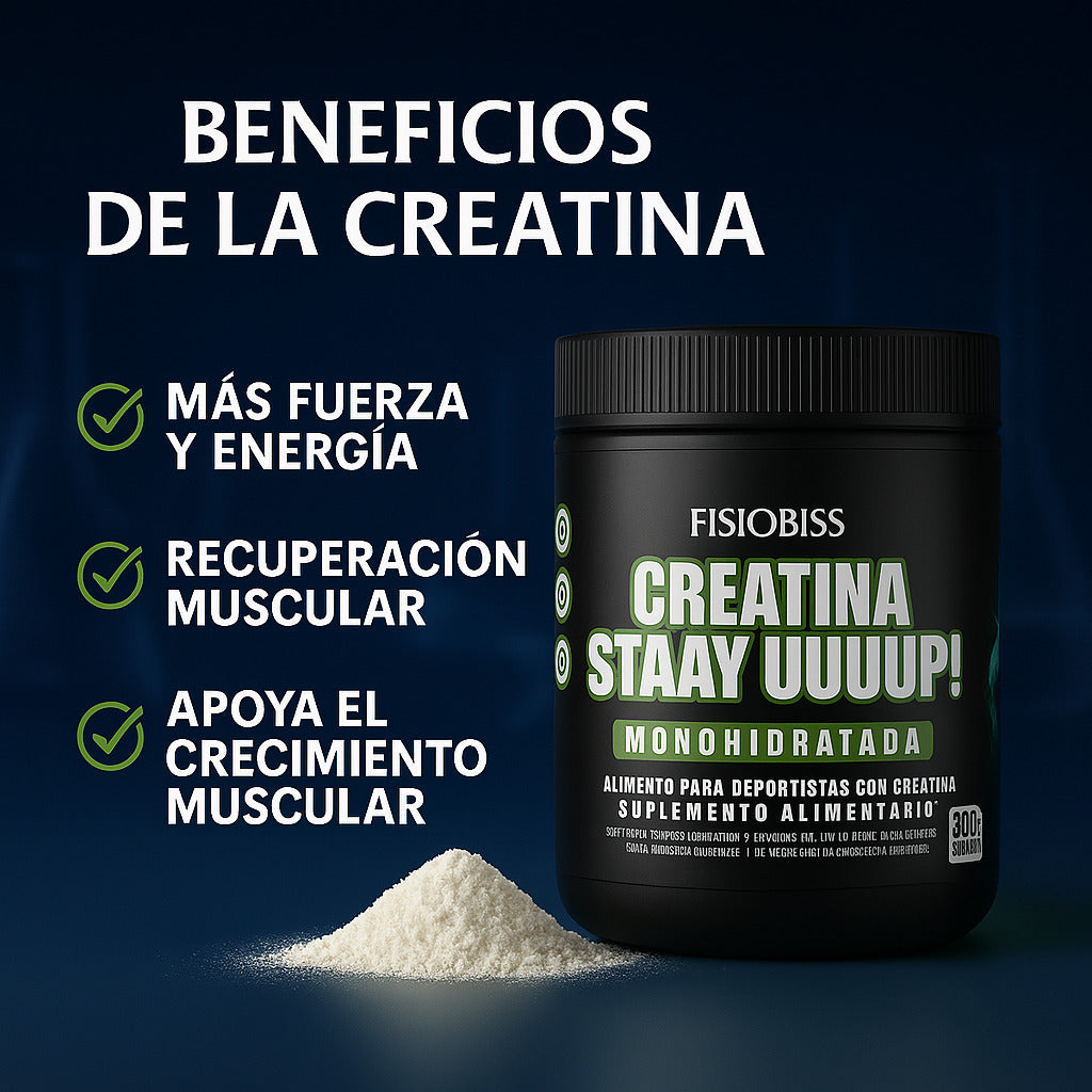 Creatina Monohidratada 300g Stay Up