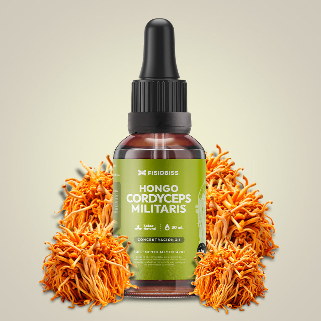 Extracto de Hongo Cordyceps