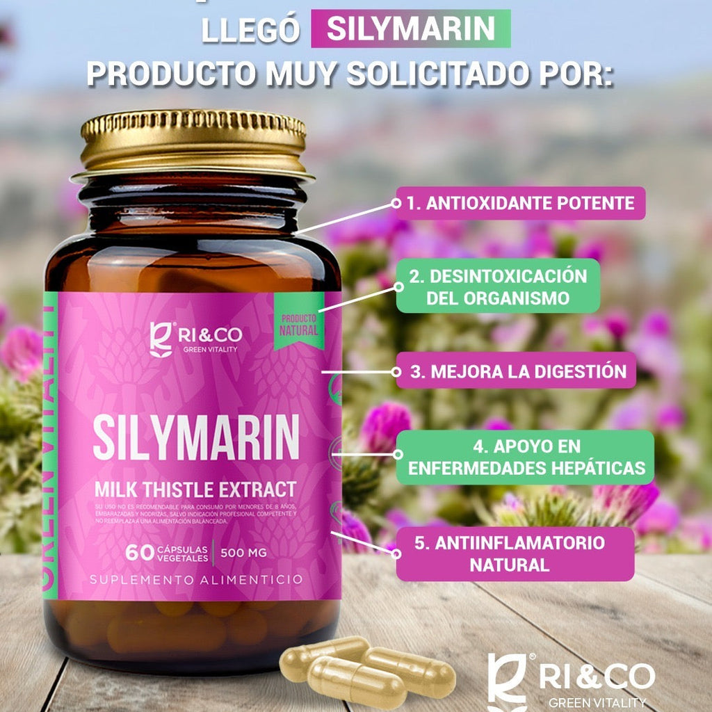 Cardo Mariano (Silymarin / Milk Thistle) - 60 Cápsulas