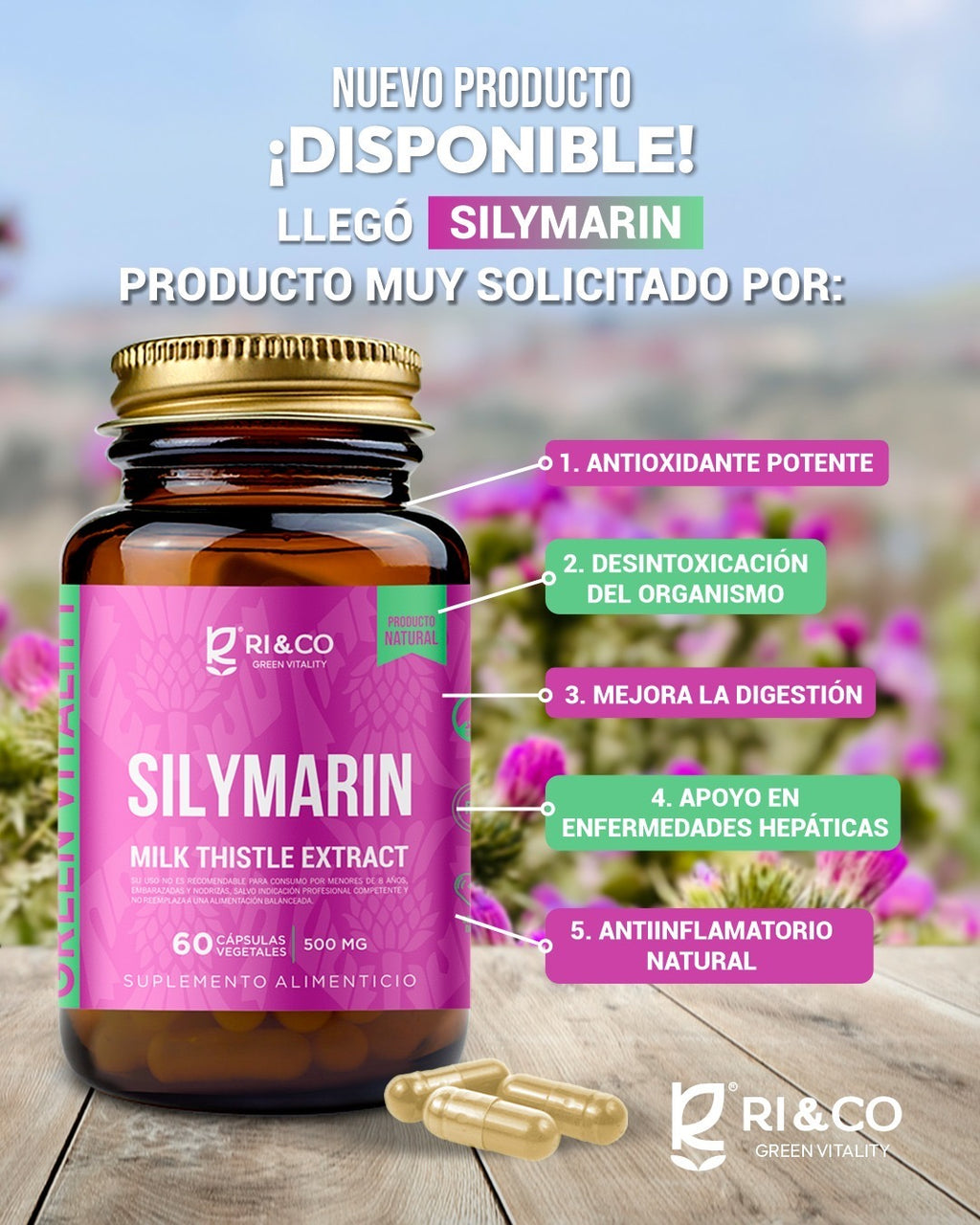 Silymarin (Cardo Mariano) 60 Cápsulas