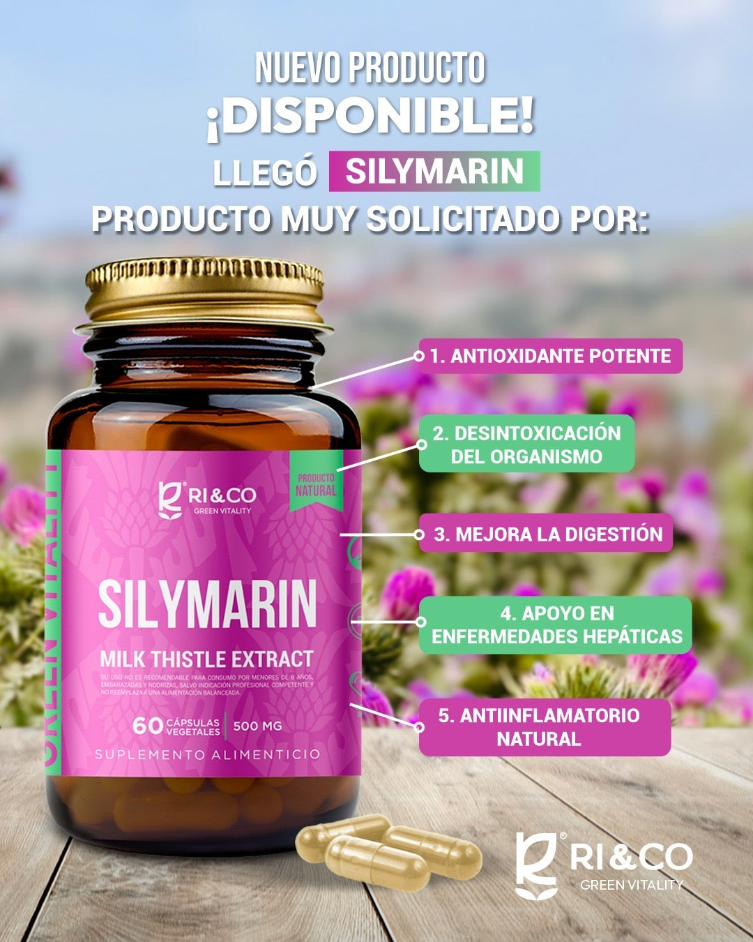 Silymarin (Cardo Mariano) 60 Cápsulas